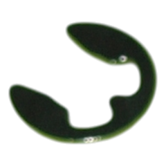 ECB-405184.png